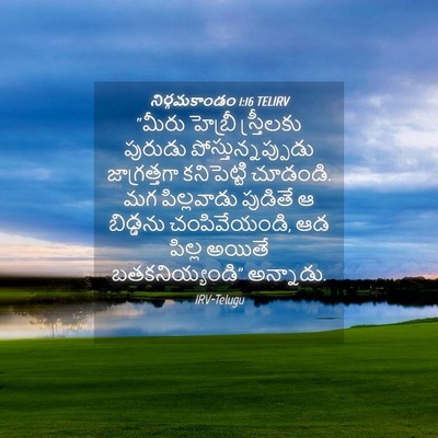 Picture 04 - నిర్గమకాండం 1:16 TELIRV - “మీరు హెబ్రీ - Bible Verse Picture