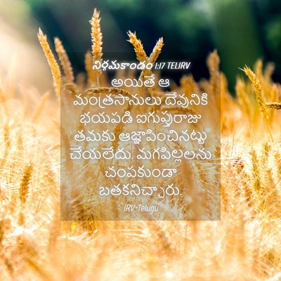 Picture 04 - నిర్గమకాండం 1:17 TELIRV - అయితే ఆ - Bible Verse Picture