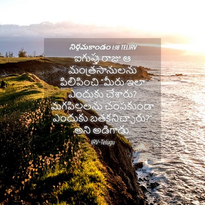 Picture 04 - నిర్గమకాండం 1:18 TELIRV - ఐగుప్తు రాజు ఆ - Bible Verse Picture
