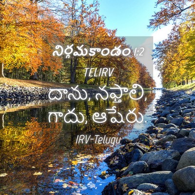 Picture 04 - నిర్గమకాండం 1:2 TELIRV - దాను, నఫ్తాలి, - Bible Verse Picture