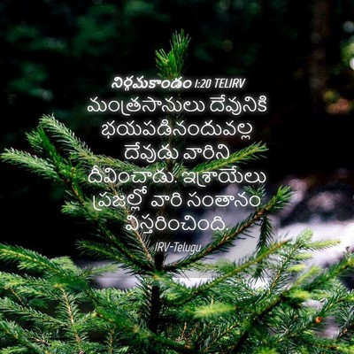 Picture 04 - నిర్గమకాండం 1:20 TELIRV - మంత్రసానులు - Bible Verse Picture