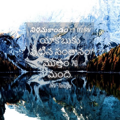 Picture 04 - నిర్గమకాండం 1:3 TELIRV - యాకోబుకు పుట్టిన - Bible Verse Picture