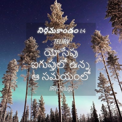 Picture 04 - నిర్గమకాండం 1:4 TELIRV - యోసేపు ఐగుప్తులో - Bible Verse Picture
