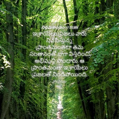 Picture 04 - నిర్గమకాండం 1:7 TELIRV - ఇశ్రాయేలు ప్రజలు - Bible Verse Picture
