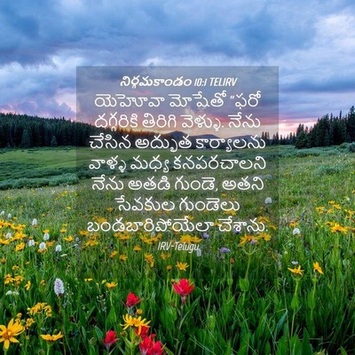 Picture 04 - నిర్గమకాండం 10:1 TELIRV - యెహోవా మోషేతో - Bible Verse Picture