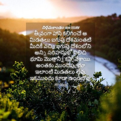 Picture 04 - నిర్గమకాండం 10:14 TELIRV - తీవ్రంగా హాని - Bible Verse Picture