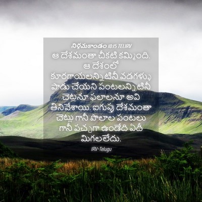 Picture 04 - నిర్గమకాండం 10:15 TELIRV - ఆ దేశమంతా చీకటి - Bible Verse Picture