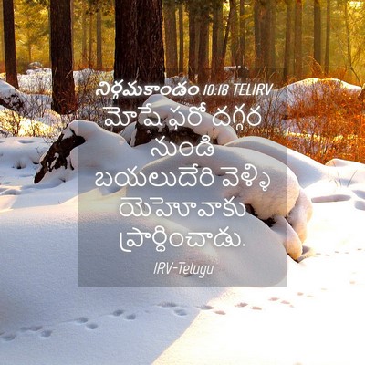 Picture 04 - నిర్గమకాండం 10:18 TELIRV - మోషే ఫరో దగ్గర - Bible Verse Picture
