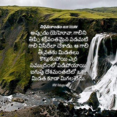 Picture 04 - నిర్గమకాండం 10:19 TELIRV - అప్పుడు యెహోవా, - Bible Verse Picture