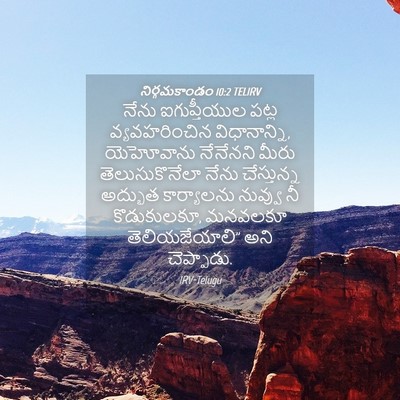 Picture 04 - నిర్గమకాండం 10:2 TELIRV - నేను ఐగుప్తీయుల - Bible Verse Picture