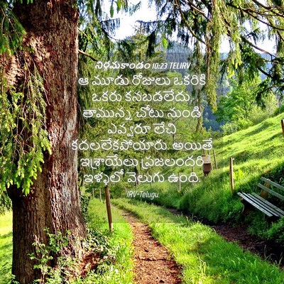 Picture 04 - నిర్గమకాండం 10:23 TELIRV - ఆ మూడు రోజులు - Bible Verse Picture