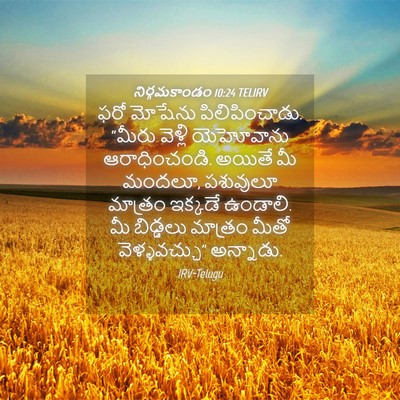 Picture 04 - నిర్గమకాండం 10:24 TELIRV - ఫరో మోషేను - Bible Verse Picture