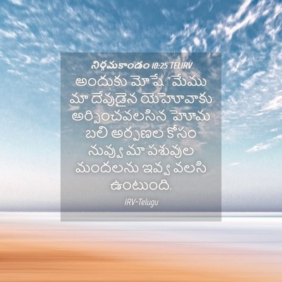 Picture 04 - నిర్గమకాండం 10:25 TELIRV - అందుకు మోషే “మేము - Bible Verse Picture