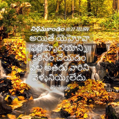 Picture 04 - నిర్గమకాండం 10:27 TELIRV - అయితే యెహోవా ఫరో - Bible Verse Picture