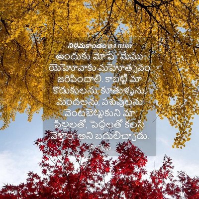Picture 04 - నిర్గమకాండం 10:9 TELIRV - అందుకు మోషే “మేము - Bible Verse Picture