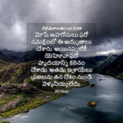 Picture 04 - నిర్గమకాండం 11:10 TELIRV - మోషే అహరోనులు ఫరో - Bible Verse Picture