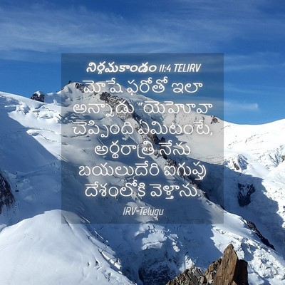 Picture 04 - నిర్గమకాండం 11:4 TELIRV - మోషే ఫరోతో ఇలా - Bible Verse Picture