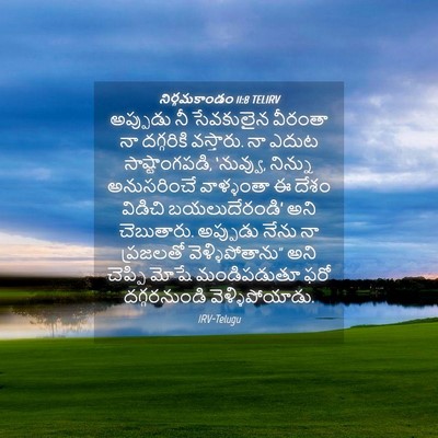 Picture 04 - నిర్గమకాండం 11:8 TELIRV - అప్పుడు నీ - Bible Verse Picture