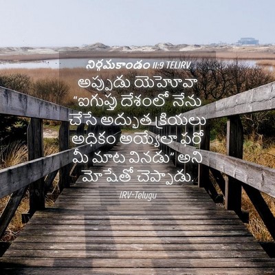 Picture 04 - నిర్గమకాండం 11:9 TELIRV - అప్పుడు యెహోవా - Bible Verse Picture