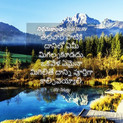 Picture 04 - నిర్గమకాండం 12:10 TELIRV - తెల్లవారే పాటికి - Bible Verse Picture