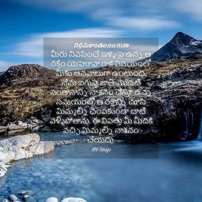 Picture 04 - నిర్గమకాండం 12:13 TELIRV - మీరు నివసించే - Bible Verse Picture