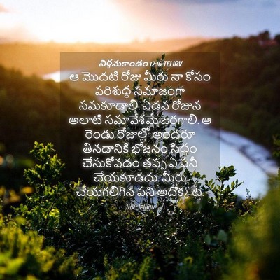 Picture 04 - నిర్గమకాండం 12:16 TELIRV - ఆ మొదటి రోజు మీరు - Bible Verse Picture