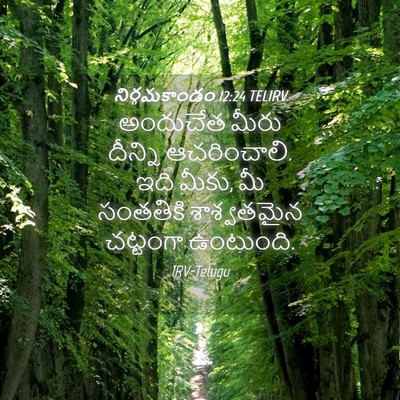 Picture 04 - నిర్గమకాండం 12:24 TELIRV - అందుచేత మీరు - Bible Verse Picture