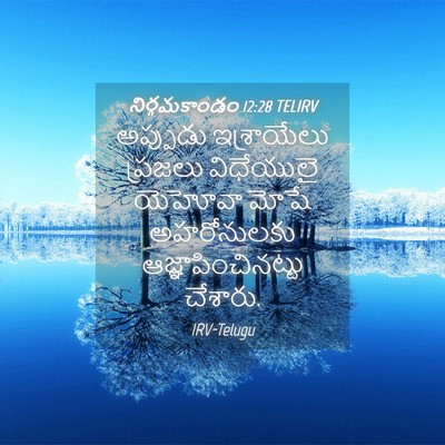 Picture 04 - నిర్గమకాండం 12:28 TELIRV - అప్పుడు ఇశ్రాయేలు - Bible Verse Picture