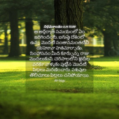 Picture 04 - నిర్గమకాండం 12:29 TELIRV - ఆ అర్థరాత్రి - Bible Verse Picture
