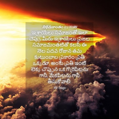 Picture 04 - నిర్గమకాండం 12:3 TELIRV - ఇశ్రాయేలు సమాజంతో - Bible Verse Picture