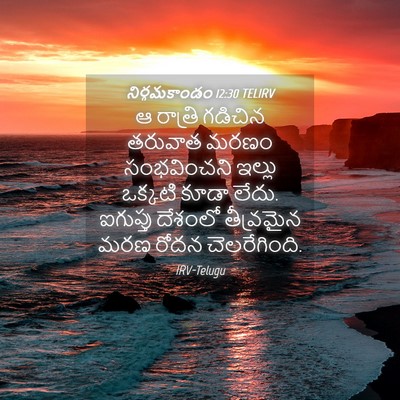Picture 04 - నిర్గమకాండం 12:30 TELIRV - ఆ రాత్రి గడిచిన - Bible Verse Picture