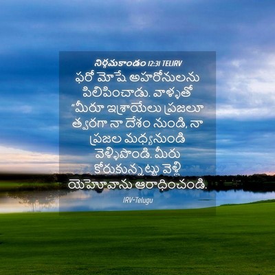 Picture 04 - నిర్గమకాండం 12:31 TELIRV - ఫరో మోషే - Bible Verse Picture