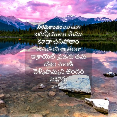 Picture 04 - నిర్గమకాండం 12:33 TELIRV - ఐగుప్తీయులు మేము - Bible Verse Picture