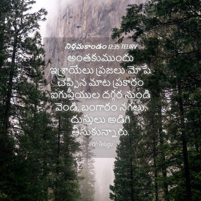Picture 04 - నిర్గమకాండం 12:35 TELIRV - అంతకుముందు - Bible Verse Picture