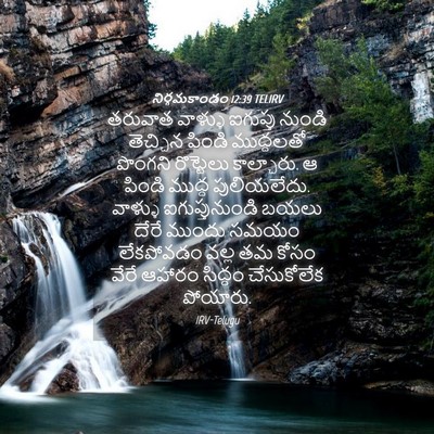 Picture 04 - నిర్గమకాండం 12:39 TELIRV - తరువాత వాళ్ళు - Bible Verse Picture
