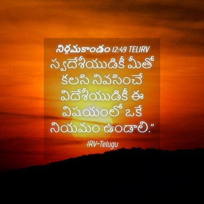 Picture 04 - నిర్గమకాండం 12:49 TELIRV - స్వదేశీయుడికీ - Bible Verse Picture