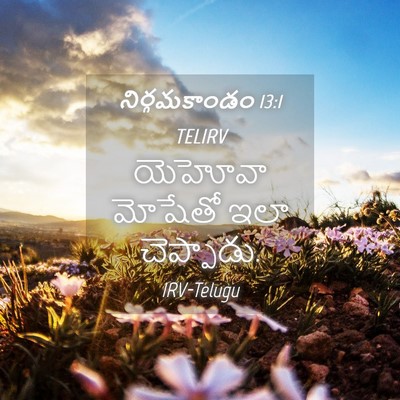 Picture 04 - నిర్గమకాండం 13:1 TELIRV - యెహోవా మోషేతో ఇలా - Bible Verse Picture