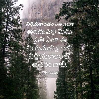 Picture 04 - నిర్గమకాండం 13:10 TELIRV - అందువల్ల మీరు - Bible Verse Picture