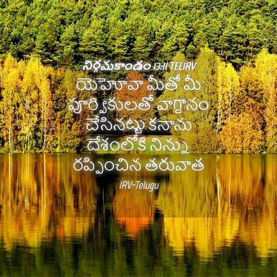 Picture 04 - నిర్గమకాండం 13:11 TELIRV - యెహోవా మీతో మీ - Bible Verse Picture