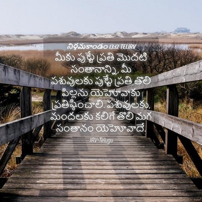 Picture 04 - నిర్గమకాండం 13:12 TELIRV - మీకు పుట్టే ప్రతి - Bible Verse Picture