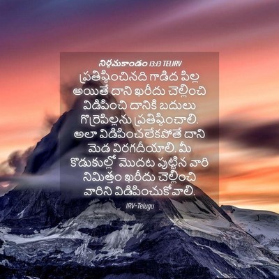 Picture 04 - నిర్గమకాండం 13:13 TELIRV - ప్రతిష్ఠించినది - Bible Verse Picture