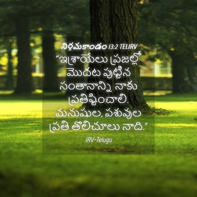 Picture 04 - నిర్గమకాండం 13:2 TELIRV - “ఇశ్రాయేలు - Bible Verse Picture
