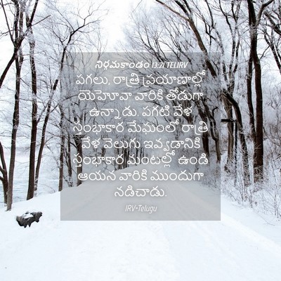 Picture 04 - నిర్గమకాండం 13:21 TELIRV - పగలు, రాత్రి - Bible Verse Picture