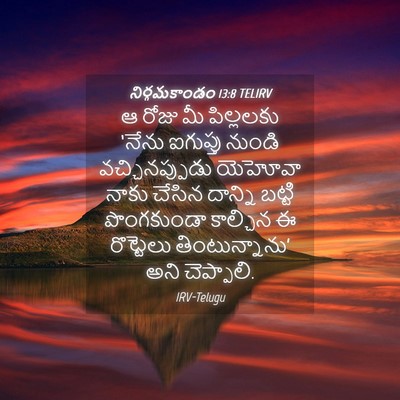 Picture 04 - నిర్గమకాండం 13:8 TELIRV - ఆ రోజు మీ పిల్లలకు - Bible Verse Picture
