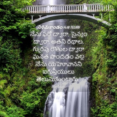 Picture 04 - నిర్గమకాండం 14:18 TELIRV - నేను ఫరో ద్వారా, - Bible Verse Picture