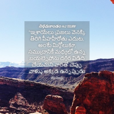 Picture 04 - నిర్గమకాండం 14:2 TELIRV - “ఇశ్రాయేలు ప్రజలు - Bible Verse Picture