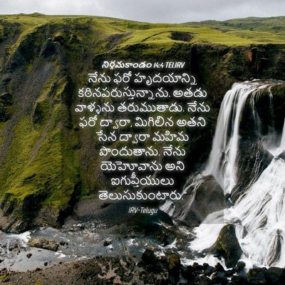 Picture 04 - నిర్గమకాండం 14:4 TELIRV - నేను ఫరో - Bible Verse Picture