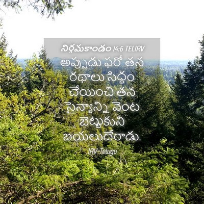 Picture 04 - నిర్గమకాండం 14:6 TELIRV - అప్పుడు ఫరో తన - Bible Verse Picture