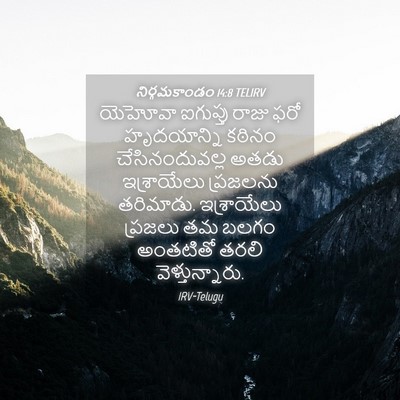 Picture 04 - నిర్గమకాండం 14:8 TELIRV - యెహోవా ఐగుప్తు - Bible Verse Picture