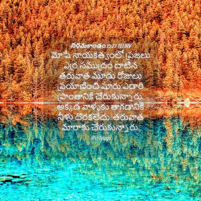 Picture 04 - నిర్గమకాండం 15:22 TELIRV - మోషే నాయకత్వంలో - Bible Verse Picture